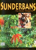 Sunderbans: the mystic mangrove