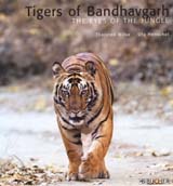Tigers of Bandhavgarh: the eyes of the jungle, concept and photographs by Thorsten Milse and text by Uta Henschel
