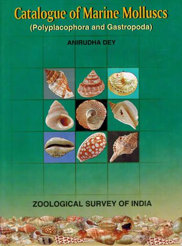 Catalogue of marine molluscs: (polyplacophora and Gastropoda)