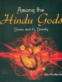 Among the Hindu gods: divine and its divinity