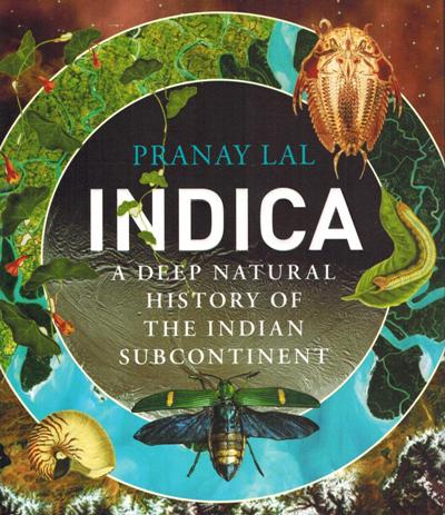 Indica: a deep natural history of the Indian subcontinent