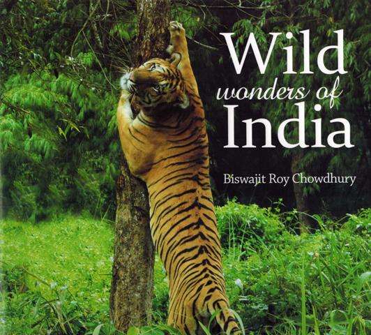 Wild wonders of India