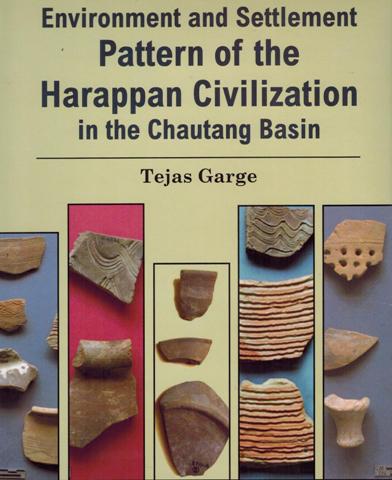 Environment and settlement pattern of the Harappan civilization in the Chautang Basin