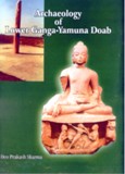 Archaeology of lower Ganga-Yamuna Doab (circa 1200 B.C. to 1200 A.D.), 2 vols