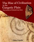 The rise of civilization in the Gangetic plain: the context of painted grey ware