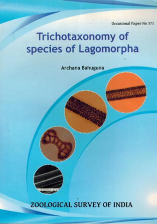 Records of the Zoological Survey of India: Trichotaxonomy of species of Lagomorpha