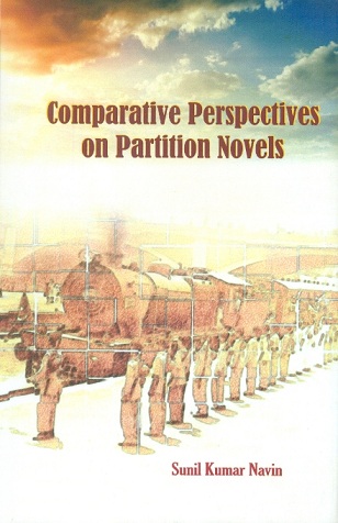 Comparative perspectives on Partition novels
