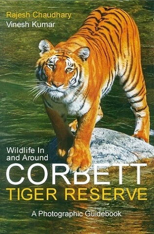 Wildlife in and around Corbett: tiger reserve