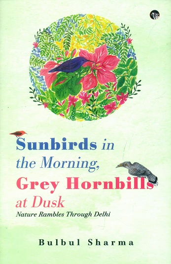 Sunbirds in the morning, Grey Hornbills at dusk: nature rambles through Delhi