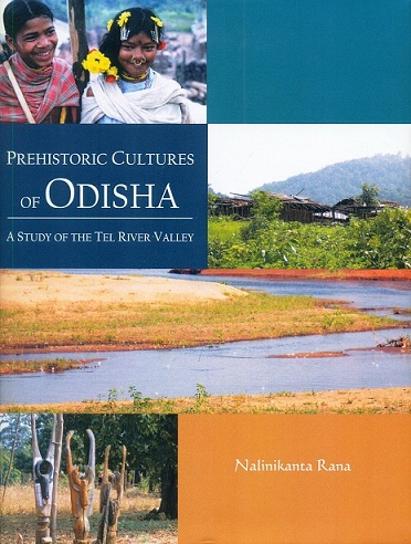 Prehistoric cultures of Odisha: a study of the Tel River Valley