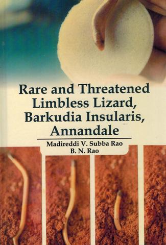 Rare and threatened limbless lizard, Barkudia insularis, Annandale